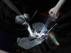 endodontia